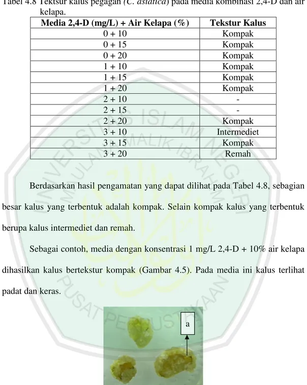 Tabel 4.8 Tektsur kalus pegagan (C. asiatica) pada media kombinasi 2,4-D dan air  kelapa