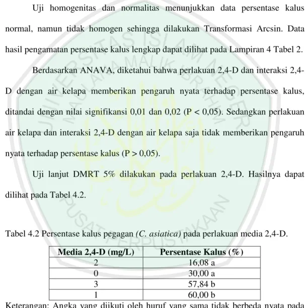 Tabel 4.2 Persentase kalus pegagan (C. asiatica) pada perlakuan media 2,4-D. 