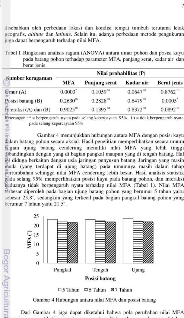 Tabel 1  Ringkasan analisis ragam (ANOVA) antara umur pohon dan posisi kayu  pada batang pohon terhadap parameter MFA, panjang serat, kadar air  dan  berat jenis  