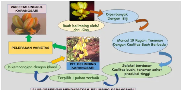 Tabel 1. Sifat fisik dan kimia buah serta produksi buah belimbing Karangsari  