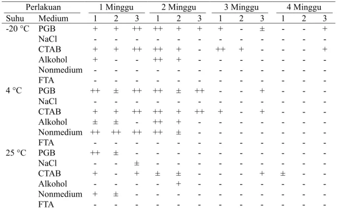 Tabel 3  Hasil PCR standar dengan primer P1/P7 menggunakan DNA fitoplasma dari berbagai  kondisi preservasi contoh pada beberapa waktu penyimpanan