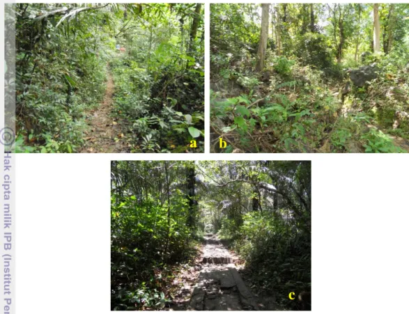 Gambar 3 Gambaran lokasi pengamatan kupu-kupu: Cagar Alam Pattunuang (a),  Cagar Alam Leang-leang (b), Taman Wisata Bantimurung (c)