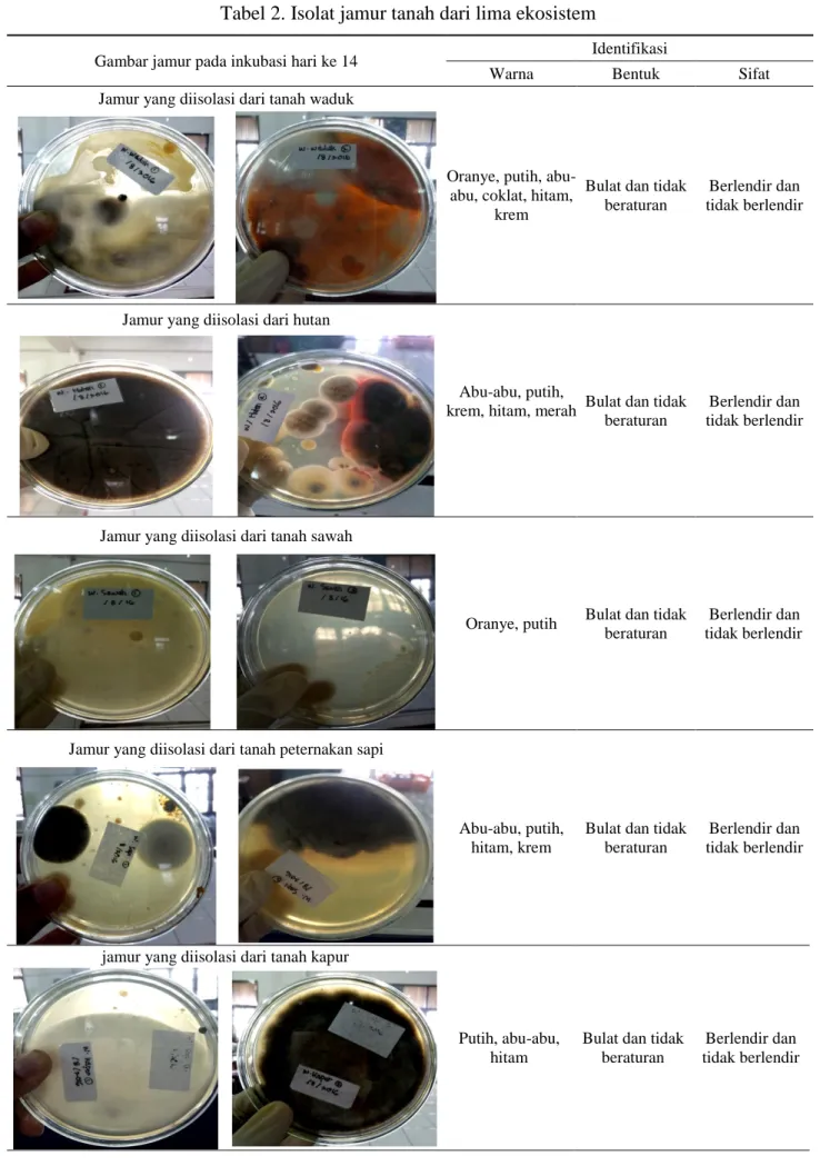 Tabel 2. Isolat jamur tanah dari lima ekosistem 