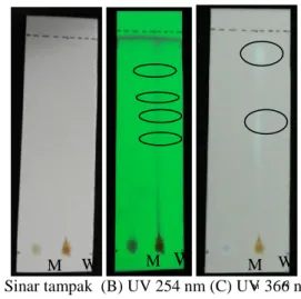 Gambar 2. Hasil KLT ekstrak jamur tanah waduk pada (A) sinar tampak, (B) sinar UV 254 nm  terdapat 4 bercak, (C) sinar UV 366 terdapat 2 bercak