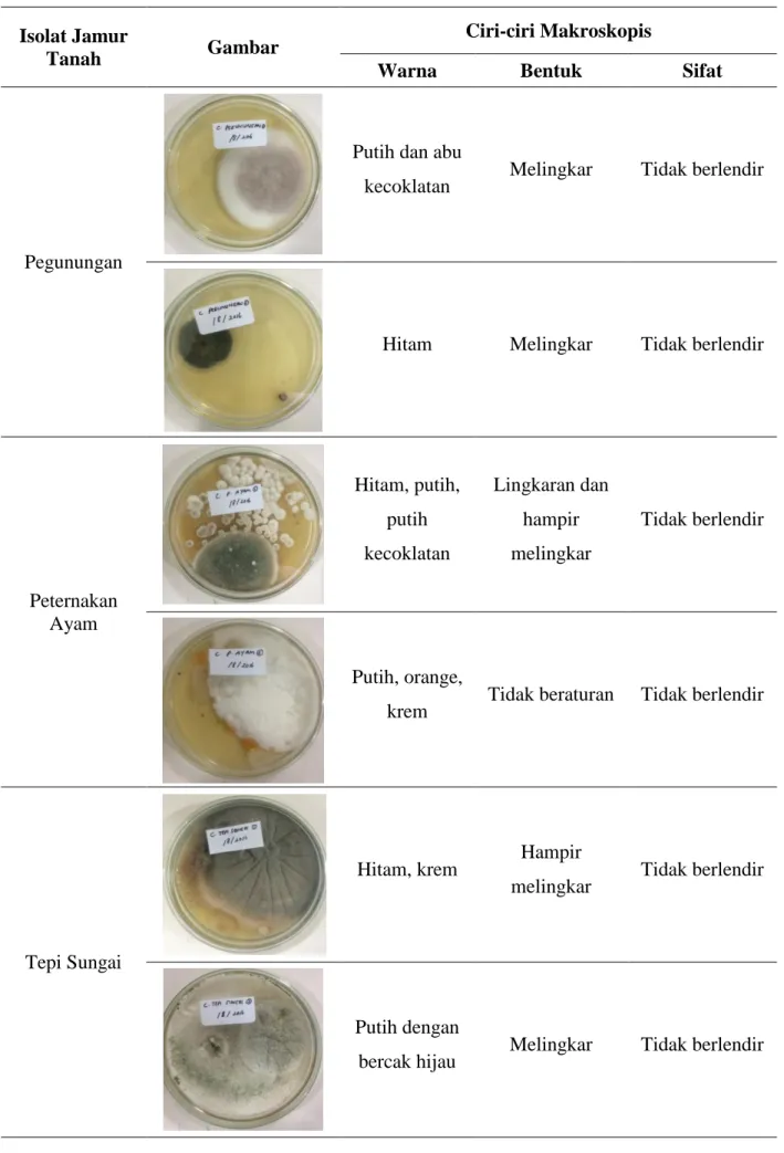 Tabel 1. Lanjutan 