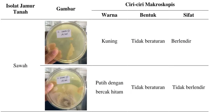 Tabel 1. Lanjutan 