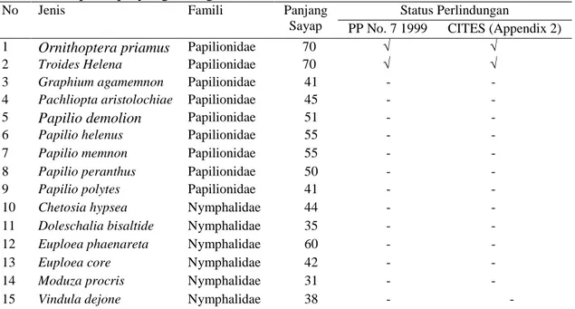 Tabel 6  Kupu-kupu yang ditangkarkan PT Ikas Amboina 