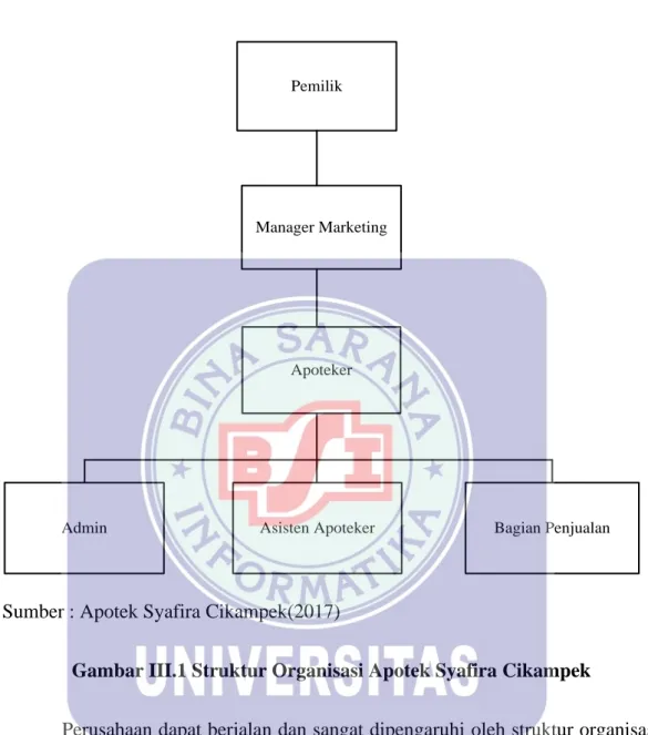 Gambar III.1 Struktur Organisasi Apotek Syafira Cikampek 