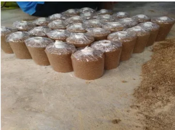 Gambar 5. Alat Sterilisasi (Steamer) 