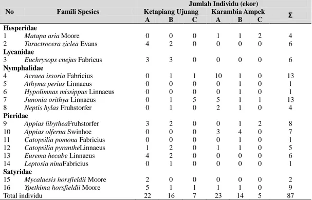 Tabel  1.  Jumlah  individu  kupu-kupu  pengunjung  pada  bunga  semangka  (C.lanatus)  pada  masing-masing  lokasi penelitian   