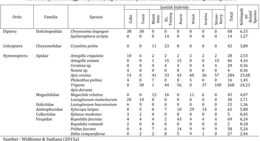Tabel 3.1. Spesies Serangga Penyerbuk yang ditemukan pada Tanaman Pertanian di Lereng Gunung Slamet