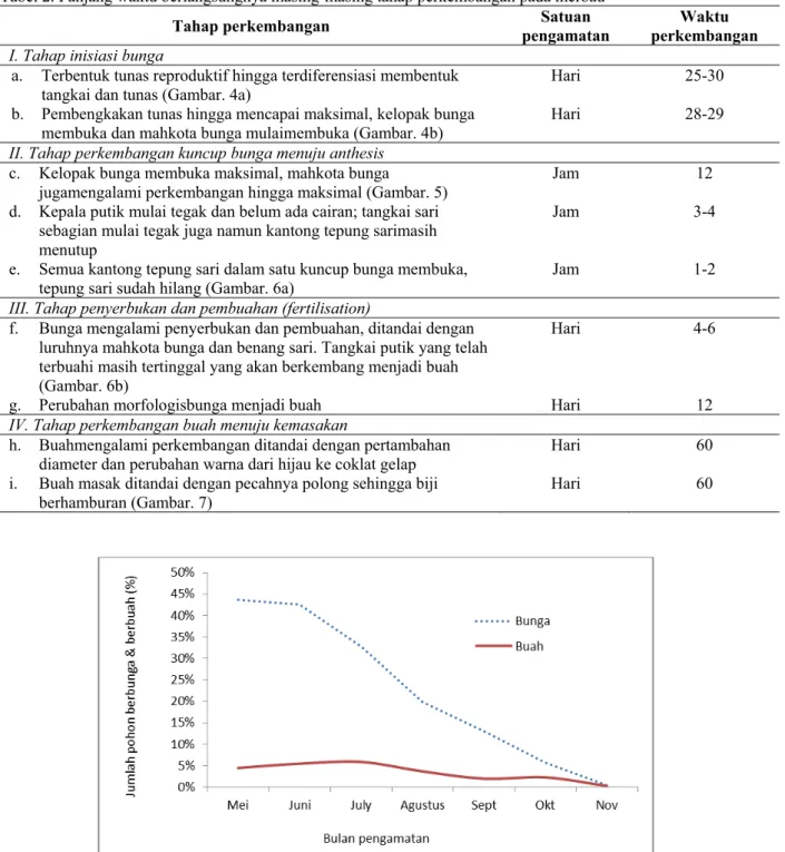 Tabel 2. Panjang waktu berlangsungnya masing-masing tahap perkembangan pada merbau 