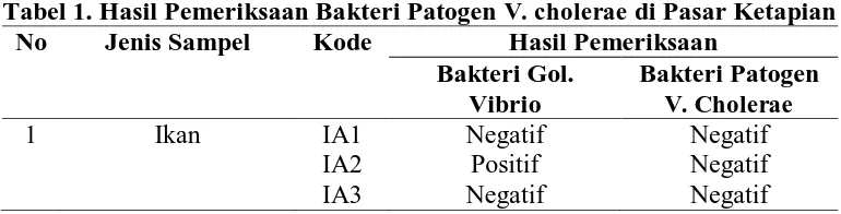 Tabel 1. Hasil Pemeriksaan Bakteri Patogen  V. cholerae di Pasar Ketapian No Jenis Sampel Kode Hasil Pemeriksaan 