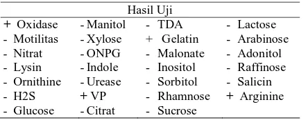 Tabel 2. Hasil uji IB-1 dengan menggunakan Kit MicrogenTM GNA+B-ID System  
