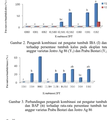 Gambar 2. Pengaruh kombinasi zat pengatur tumbuh IBA (I) dan BAP (B)  terhadap persentase tumbuh kalus pada eksplan tunas aksilar 