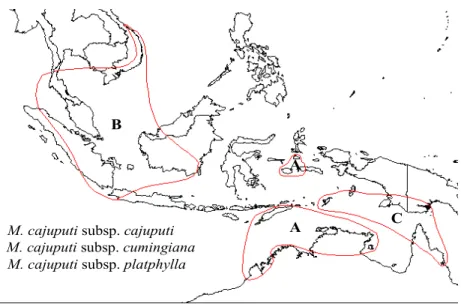 Figure 1. Natural distribution of Melaleuca cajuputi