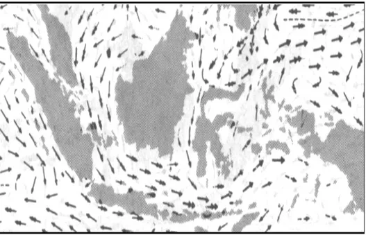 Gambar 1.  Pola arus permukaan pada musim barat di perairan                         Indonesia (Wyrtki, 1961) 