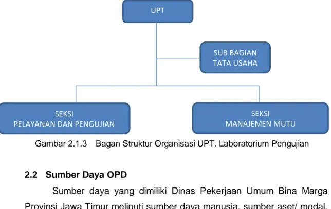 Gambar 2.1.3   Bagan Struktur Organisasi UPT. Laboratorium Pengujian 