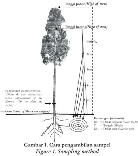 Gambar 1. Cara pengambilan sampel Figure 1. Sampling method