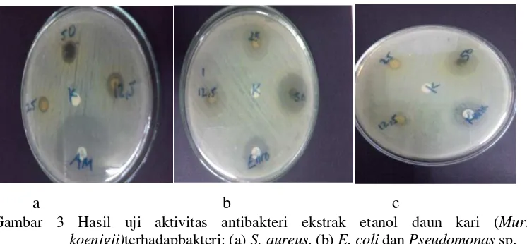 Gambar 3 Hasil uji aktivitas antibakteri ekstrak etanol daun kari (Murraya 