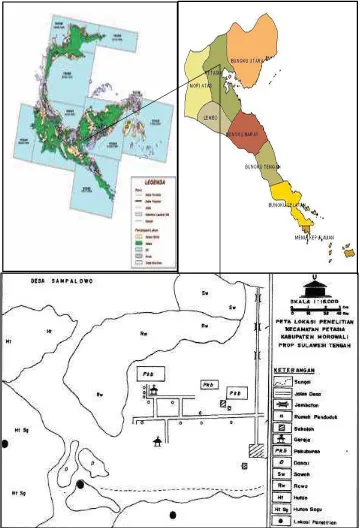 Gambar 5 Peta Lokasi Penelitian di Kabupaten Morowali. 