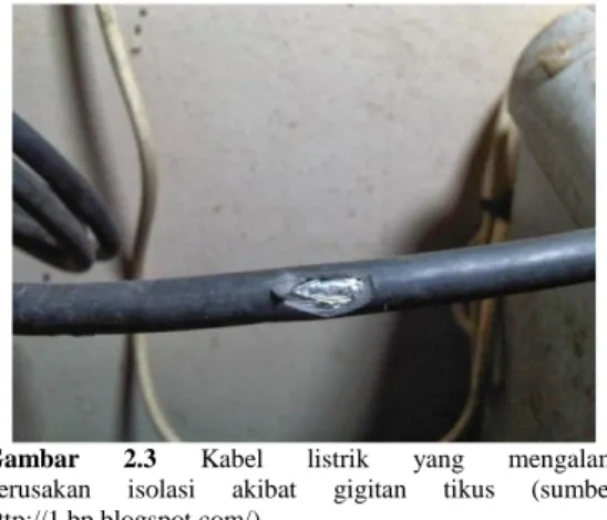 Gambar  2.3  Kabel  listrik  yang  mengalami   kerusakan  isolasi  akibat  gigitan  tikus  (sumber: 
