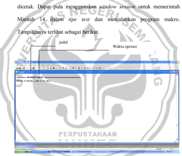 Gambar  2.5 Window Session Minitab 14 