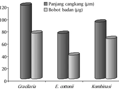 Gambar 6. Laju pertumbuhan harian untuk panjang dan bobot badan yuwana abalon