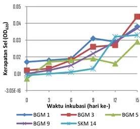 Gambar 1 Pertumbuhan kultur tunggal bakteri  metanotrof  pada  media  NMS  selama inkubasi   