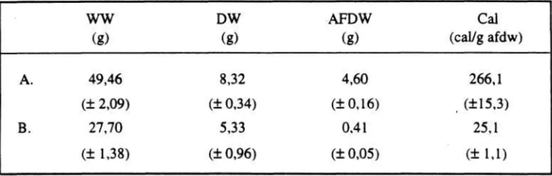 Tabel 1. Berat basah (WW), berat kering (DW), abu (ash free dry weight = AFDW)  dan nilai kalori dari Callinectes rathbunae, A = kepiting yang bam saja molting