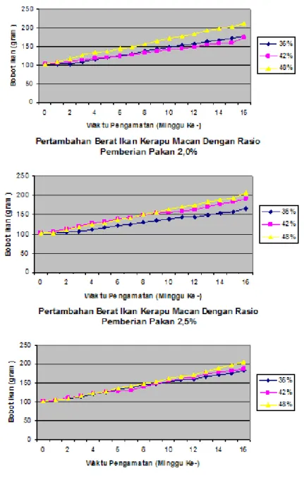 Gambar 1.  Perkembangan berat ikan kerapu macan yang diberi pakan dengan kadar  protein 36%, 42% dan 48% dengan rasio pemberian pakan sebesar 1,50%,  2,0% dan 2,5%