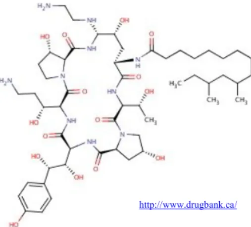 Gambar 4. Struktur molekul CAS.