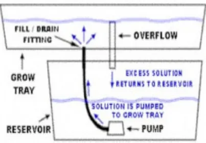Gambar 4. Ebb and Flow system 
