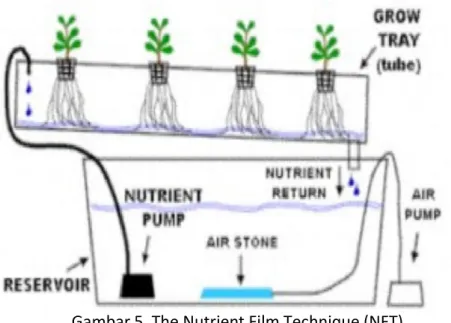 Gambar 5. The Nutrient Film Technique (NFT) 