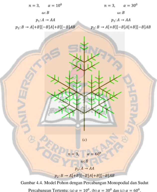 Gambar 4.4. Model Pohon dengan Percabangan Monopodial dan Sudut  Percabangan Tertentu ; (a) 