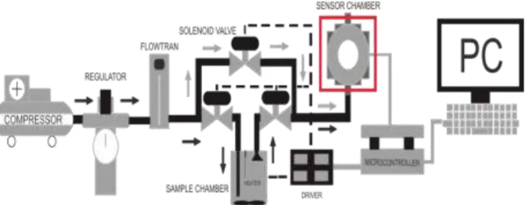 Gambar 1 Diagram blok sistem electronic nose 