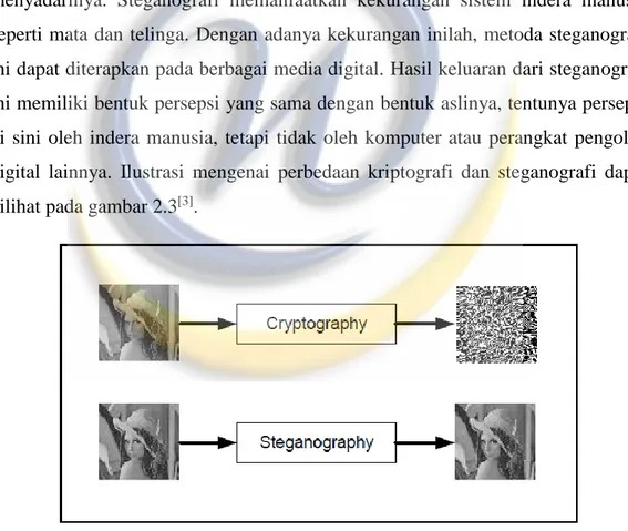 Gambar 2.3 Ilustrasi Kriptografi dan Steganografi pada Citra Digital 