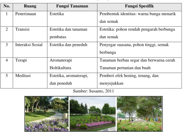 Tabel 3 Konsep Vegetasi 