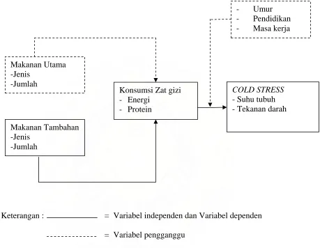 Gambar 2.2  Kerangka Konsep Penelitian 