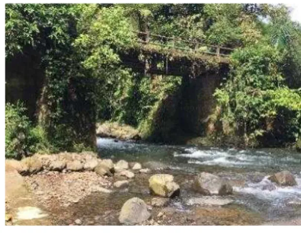 Gambar 1. Beberapa lokasi untuk survei inventarisasi  kupu-kupu: (a) area sekitar gerbang masuk kawasan  hutan Petungkriyono, (b) koridor tepi jalan, dan (c)  tepi sungai dekat mikrohidro