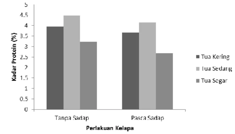 Gambar 3. Pengaruh perlakuan buah kelapa tanpa sadap dan pasca sadap serta tingkat  kematangan buah kelapa tua terhadap kadar protein pasta santan (%) 