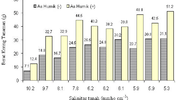 Gambar 1. Pengaruh asam humik terhadap berat kering tanaman  P.  javanicum  pada beberapa tingkat salinitas tanah