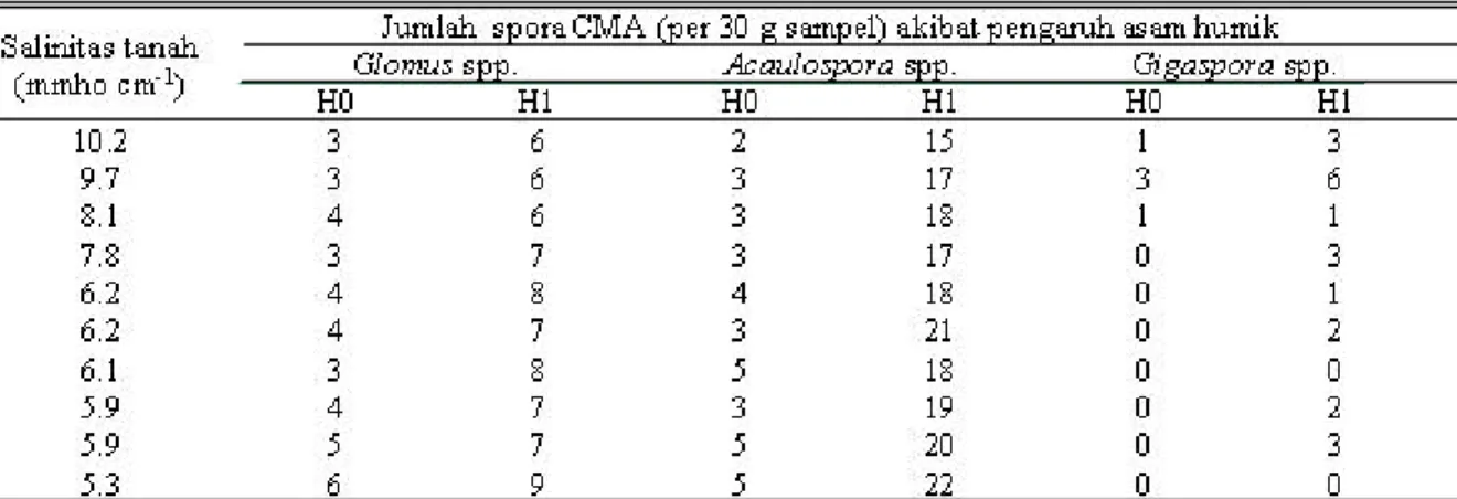 Tabel 1.  Jumlah  spora  setiap jenis CMA yang dihasilkan sebagai respon terhadap pemberian asam humik  pada beberapa tingkat salinitas tanah.