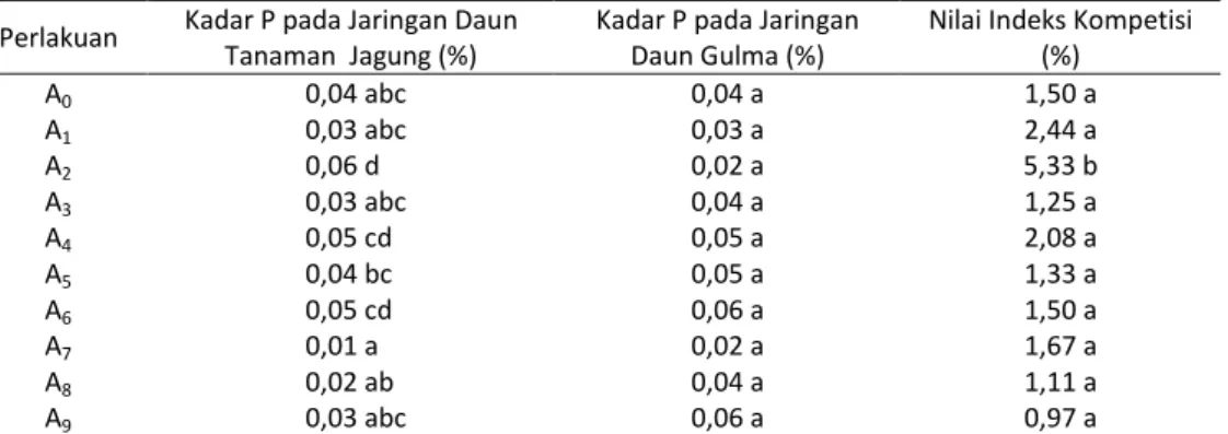 Tabel 1. Kadar P pada Jaringan Daun Tanaman Jagung, Jaringan Daun Gulma serta Nilai Indeks Kompetisi (IK) Perlakuan Kadar P pada Jaringan Daun