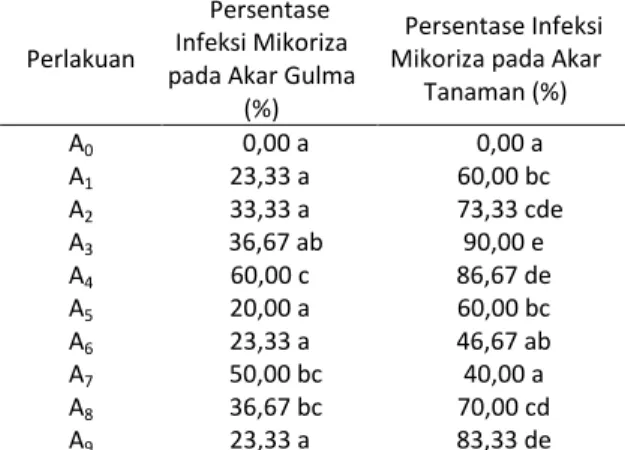 Tabel 4. Persentase infeksi mikoriza pada akar gulma dan tanaman jagung