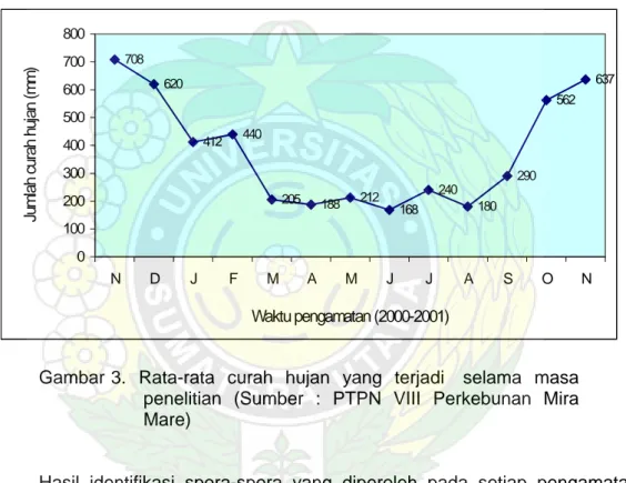 Gambar 3.  Rata-rata  curah  hujan  yang  terjadi   selama  masa  penelitian (Sumber : PTPN VIII Perkebunan Mira  Mare) 