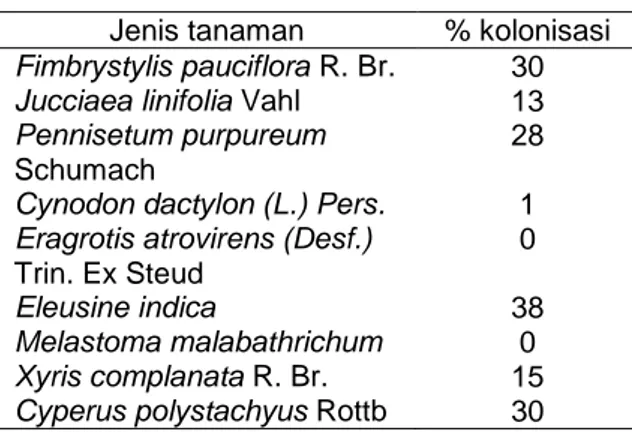 Tabel  4.  Persen  kolonisasi  FMA  dalam  akar  pada  berbagai  jenis  tumbuhan  lahan  pasca tambang timah di daerah Nibung 