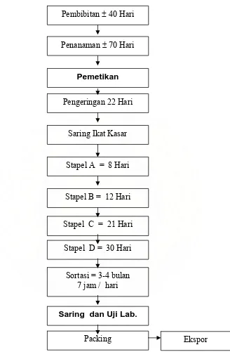 Gambar 4.1. Proses Tembakau dari Pembibitan Sampai Ekspor   