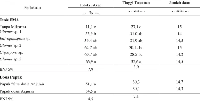 Tabel 2. Pengaruh jenis FMA dan dosis pupuk pada persen infeksi akar, tinggi tanaman, dan  jumlah daun bibit kopi umur 7 bulan