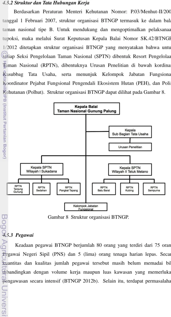 Gambar 8  Struktur organisasi BTNGP. 